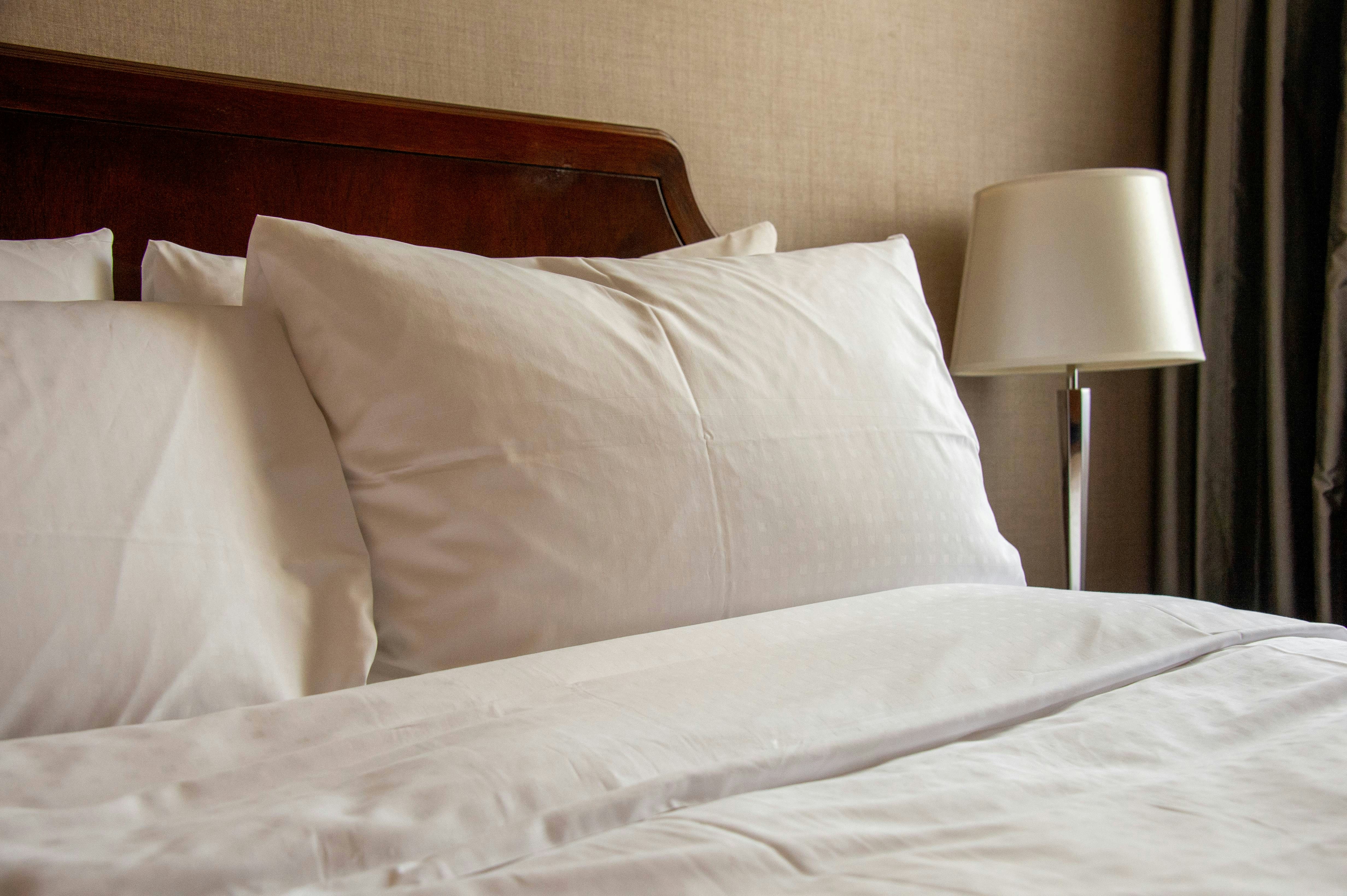 Bed Bug Control